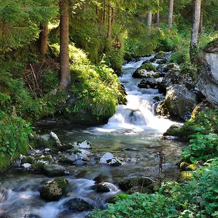 Hotel Alpenhotel La Montanara