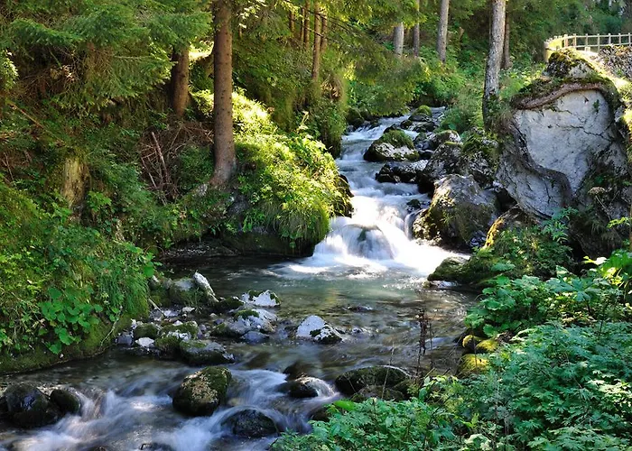 ホテル Alpenhotel La Montanara