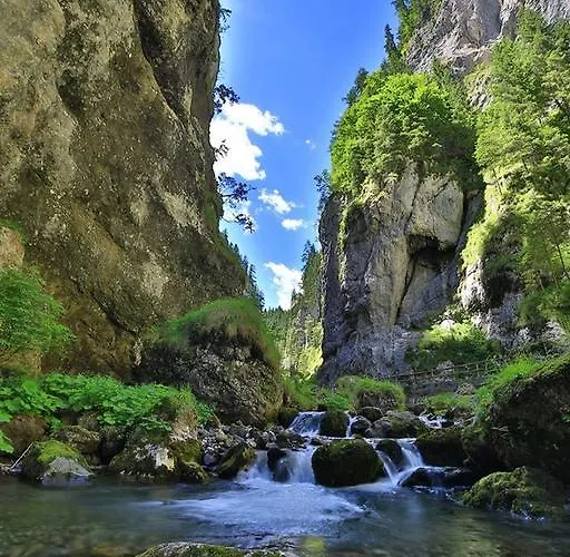 ホテル Alpenhotel La Montanara